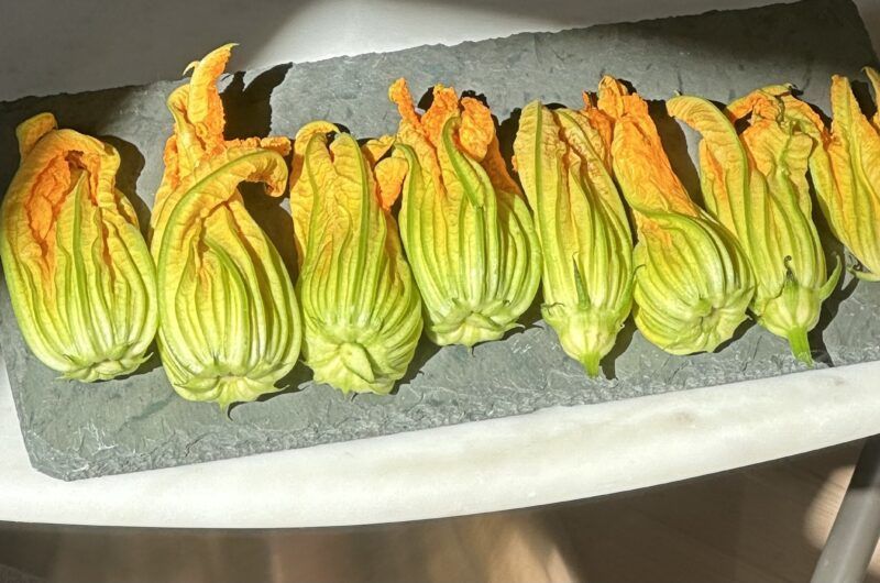 Fried Zucchini Flowers: