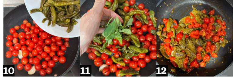 Dr-5 (1) Sahito Pepper with cherry tomatoes